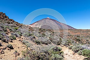 Teide - Panoramic view on volcano Pico del Teide and Montana Blanca, Mount El Teide National Park, Tenerife, Canary Islands, photo