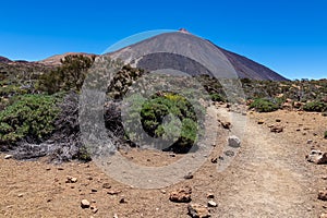 Teide - Panoramic view on volcano Pico del Teide and Montana Blanca, Mount El Teide National Park, Tenerife, Canary Islands, photo