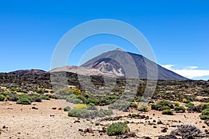 Teide - Panoramic view on volcano Pico del Teide and Montana Blanca, Mount El Teide National Park, Tenerife, Canary Islands, photo