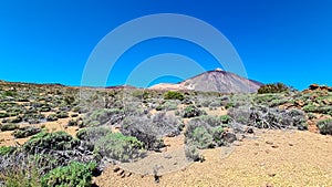 Teide - Panoramic view on volcano Pico del Teide and Montana Blanca, Mount El Teide National Park, Tenerife, Canary Islands, photo