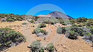 Teide - Panoramic view on volcano Pico del Teide and Montana Blanca, Mount El Teide National Park, Tenerife, Canary Islands, photo