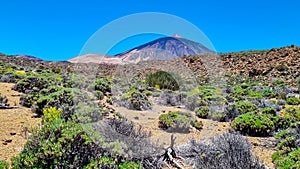 Teide - Panoramic view on volcano Pico del Teide and Montana Blanca, Mount El Teide National Park, Tenerife, Canary Islands, photo