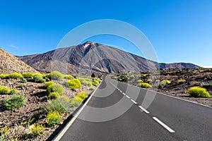 Teide - Scenic mountain road leading to volcano Pico del Teide, Mount El Teide National Park, Tenerife, Canary Islands, Spain,