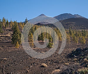 Teide Tenerife volcano