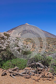 Teide volcanic national park landscape photo