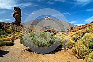 Teide Volcano in Tenerife photo