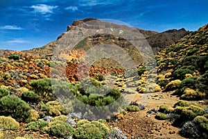 Teide Volcano in Tenerife