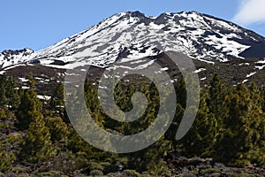 Teide volcano teneryfa Insel