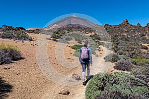 Teide - Woman on hiking trail La Fortaleza from El Portillo. Panoramic view on volcano Pico del Teide photo