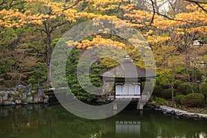 Japanese garden at srping photo