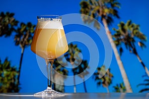 Teku Glass Hazy IPA Craft Beer Palm Trees Blue Sky