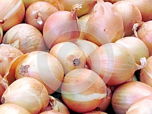 Tel Aviv Onions 2012