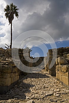 Tel Megiddo