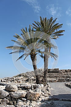 Tel Megiddo, Israel