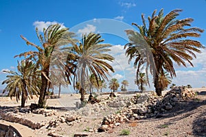 Tel Megiddo National park - Israel
