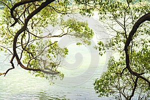 Telaga Warna, a mystical lake in Dieng, Indonesia.