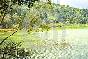 Telaga Warna, a mystical lake in Dieng, Indonesia.