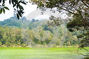 Telaga Warna, a mystical lake in Dieng, Indonesia.