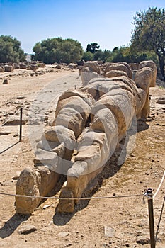 Telamon in the Olympeon field, Agrigento