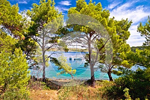 Telascica bay nature park yachting destination of Dugi otok island