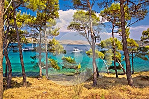 Telascica bay nature park yachting destination photo