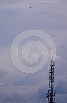 Telecommunication Tower against Evening Cloudy Sky with Many Flying Birds