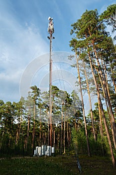 Telecommunication tower with antenna system for radio, microwave and television communications, located in a forest