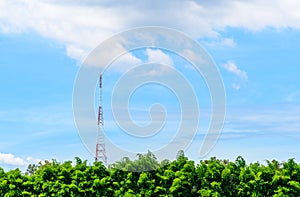 Telecommunication tower in boondocks remote area with forest and mountain background for telecommunication infrastructure concept photo