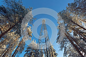 Telecommunication tower or mast with microwave, radio panel antennas, outdoor remote radio units, power cables, coaxial