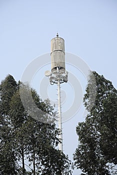 Telecommunication tower with tree