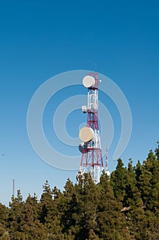 Telecommunications antenna in the center of a green area of â€‹â€‹pine forest