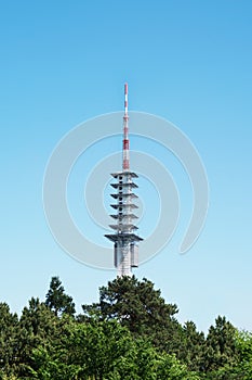 Telecommunications tower over treetops