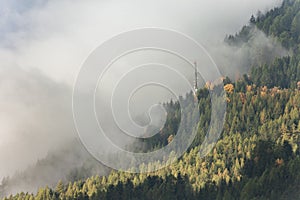 Telecomunications antenna inside the forest