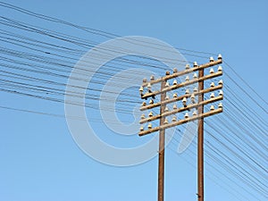 Telegraph lines photo