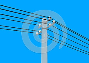 Telegraph pole