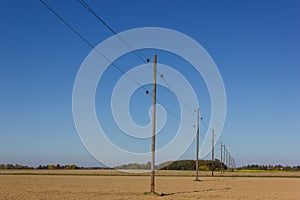 telegraph pole beside a bikeway and white tower on a plain field