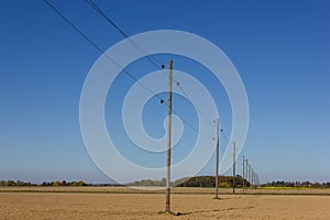 telegraph pole beside a bikeway and white tower on a plain field photo