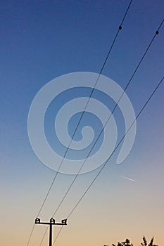 telegraph pole at colorful sunset