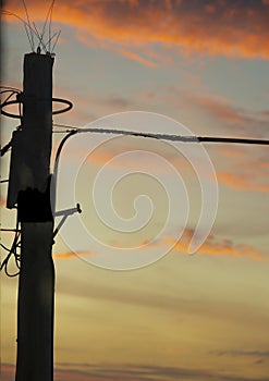 Telegraph Pole on a sunset background.