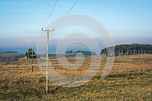 Telegraph poles in countryside