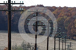 Telegraph poles photo