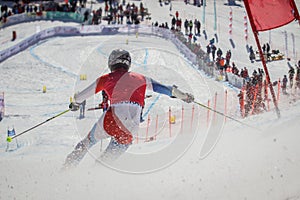 Telemark skier competing in downhill race photo