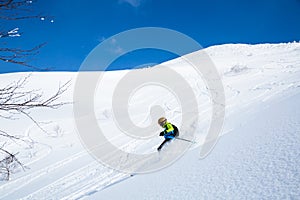 Telemark skier on Niseko Mountain backcountry powder slope photo