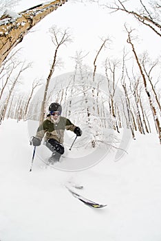 telemark skiier photo
