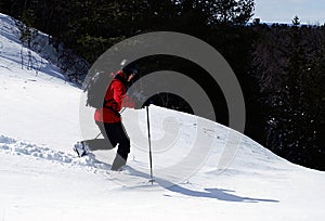 Telemark Turns