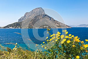 Telendos island, with flovers in front. Spring view on Kalumnos island. GRECE