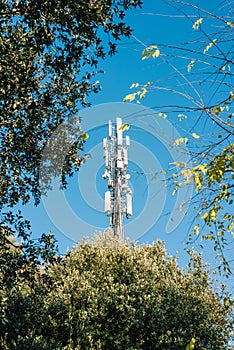 Telephone antenna among the trees, signal repeaters photo