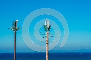 Telephone antennas hidden in palm trees