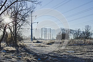 Telephone lines running through the frosty field