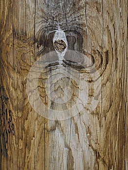 Telephone Phone Pole Abstract of Face Scream with Textures